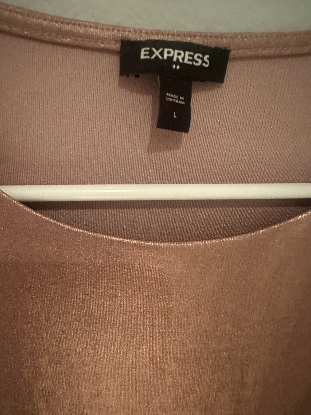 Express Shimmery Rose Gold Women's Top